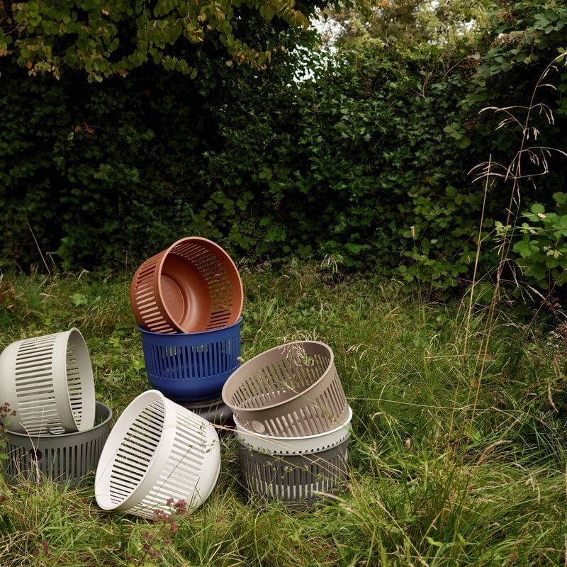 LM-IMAGE-141898806-Eucalyptus